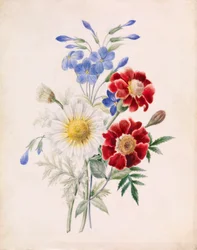Blumen und weiße Gänseblümchen, um 1840